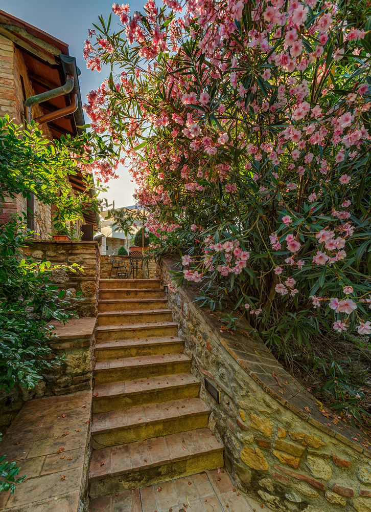 Agriturismo Casanova Di Pescille San Gimignano Exterior photo